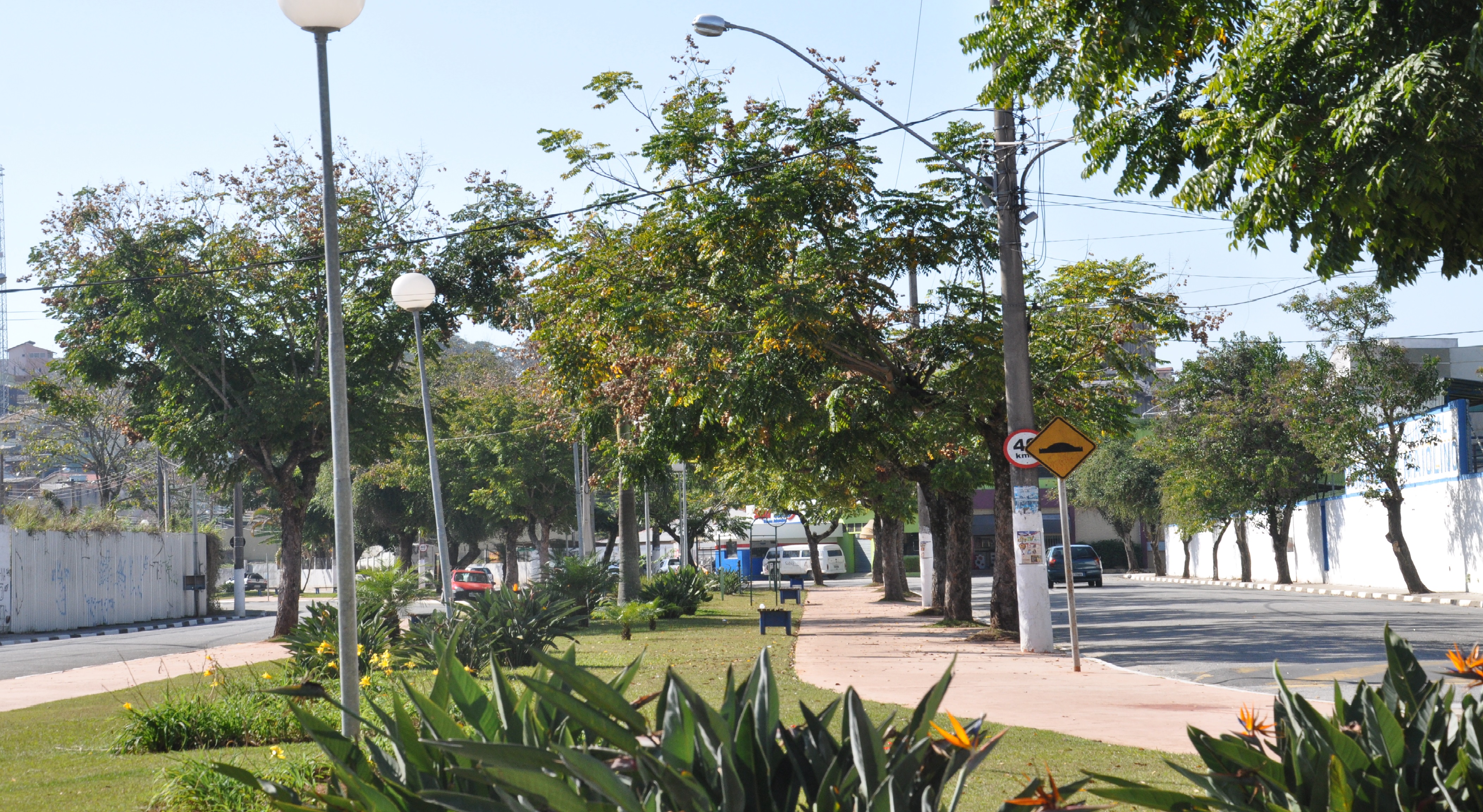 Caminhada da Primavera exigirá alterações no trânsito