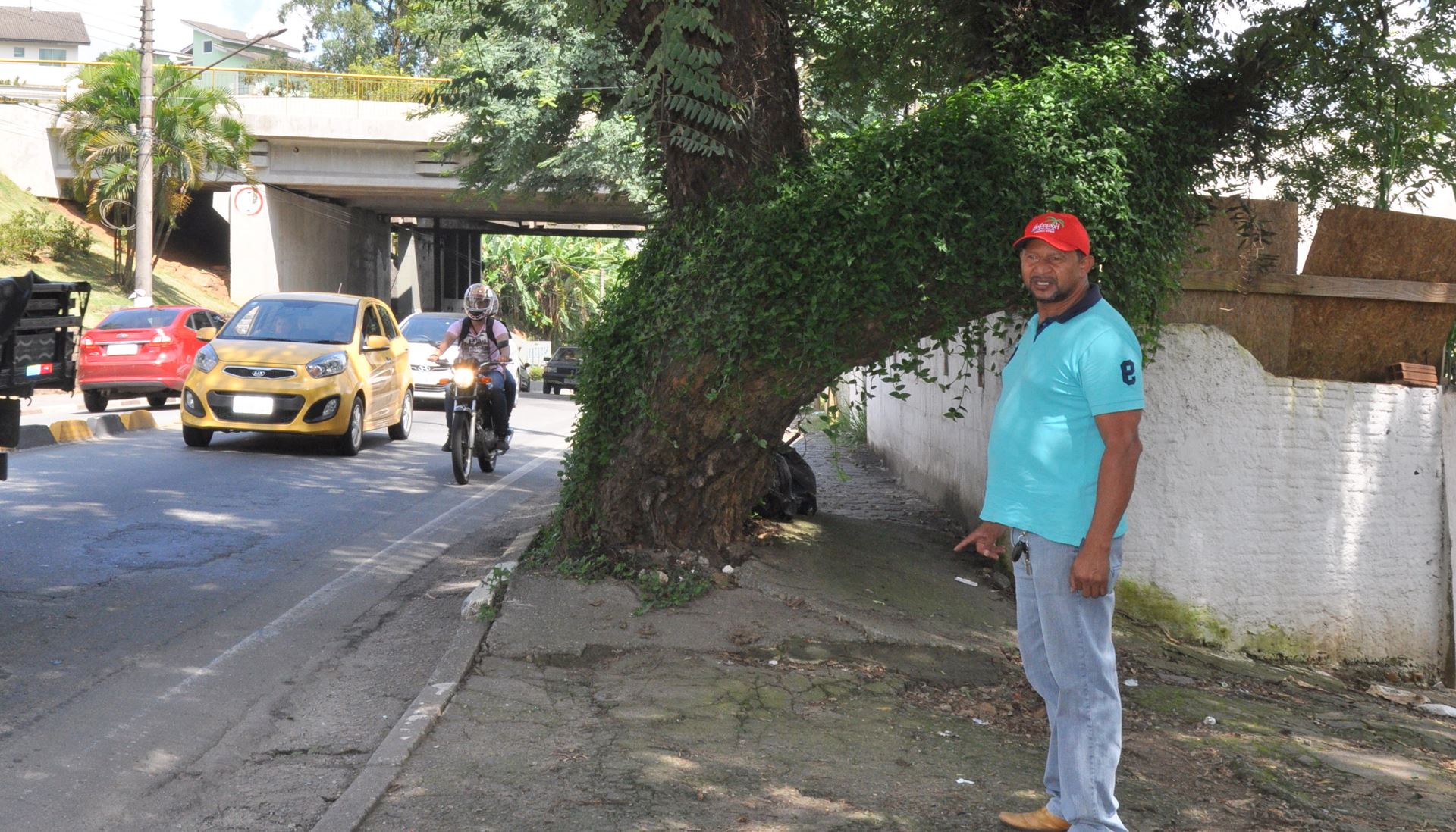 Jussival solicita corte de duas árvores na avenida dos Expedicionários