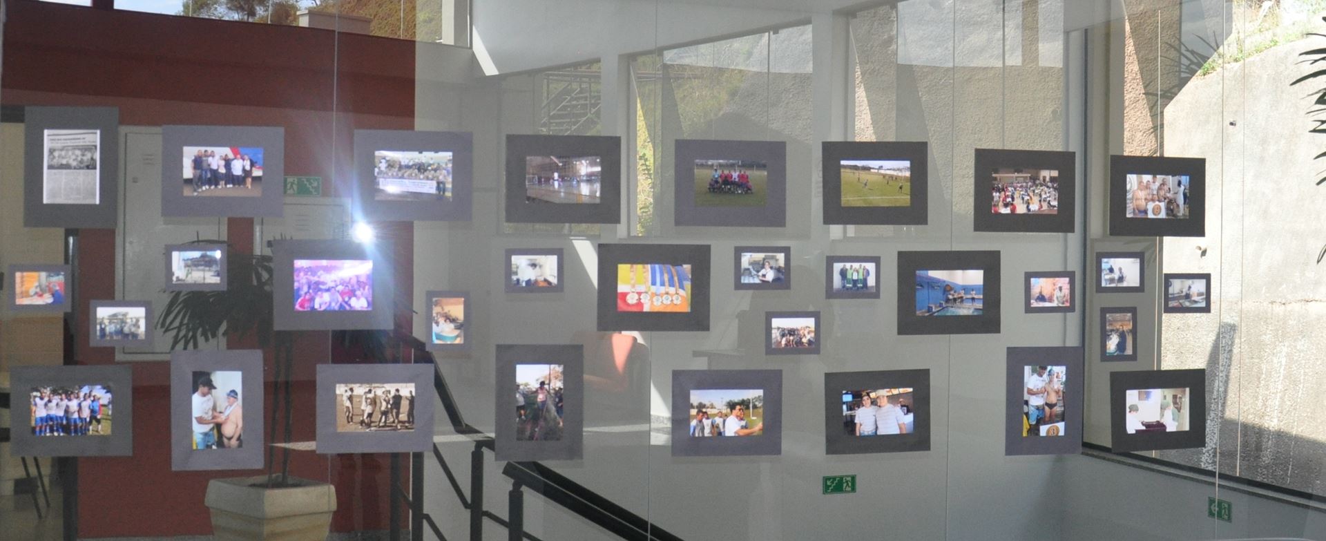 Exposição "Posso mais do que você imagina" da Apae pode ser vista na Câmara