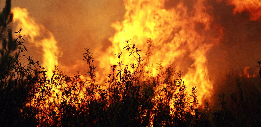 Meio Ambiente alerta sobre ocorrências de queimadas