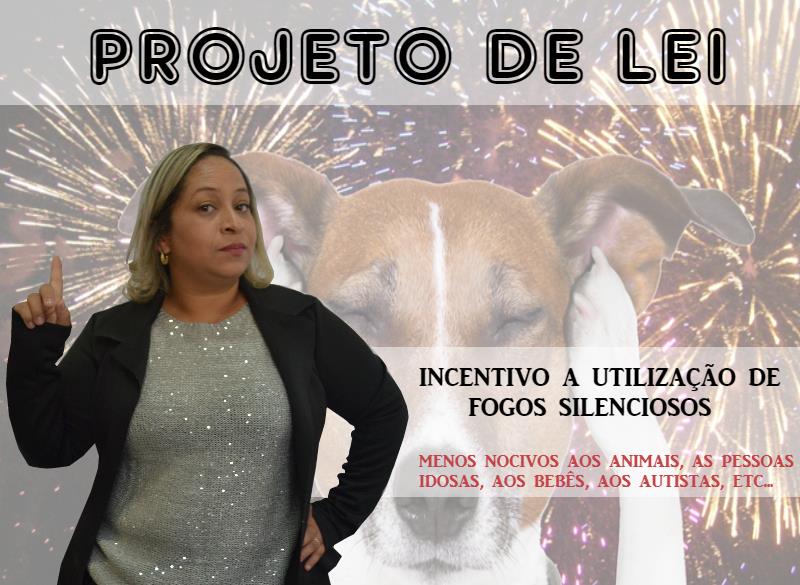 Professora Cris do Barreto defende uso de fogos de artifício silenciosos