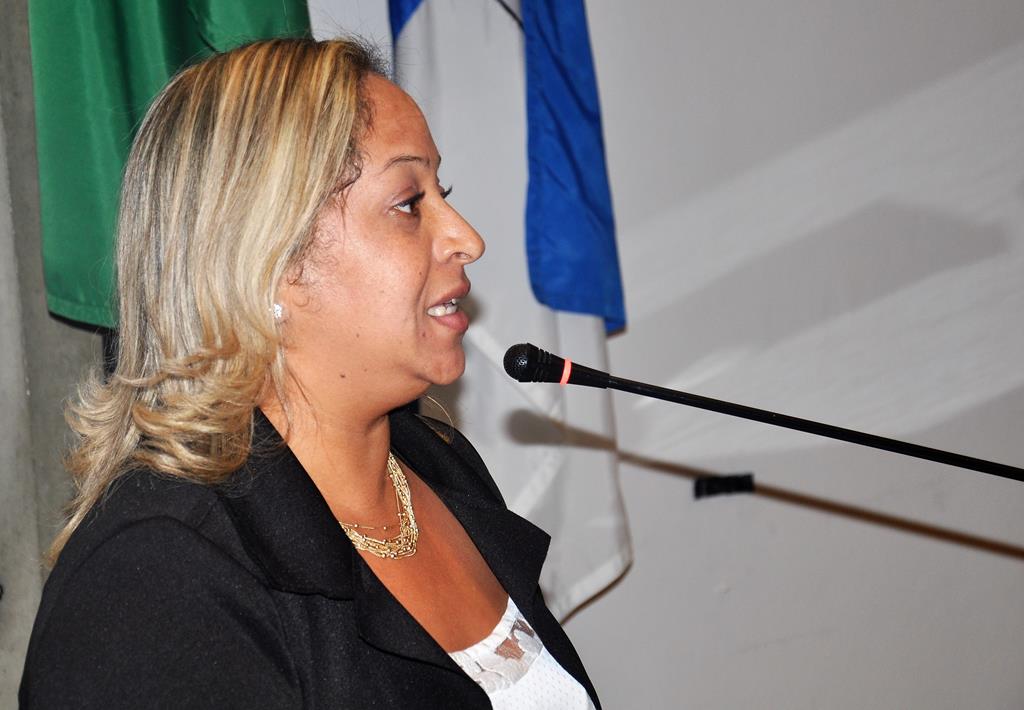 Agora é Lei: sancionado projeto de Cris do Barreto que trata do incentivo ao uso de fogos de artifício silenciosos